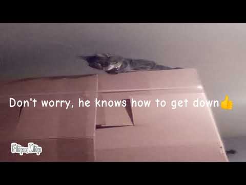 I didn't know what to title this