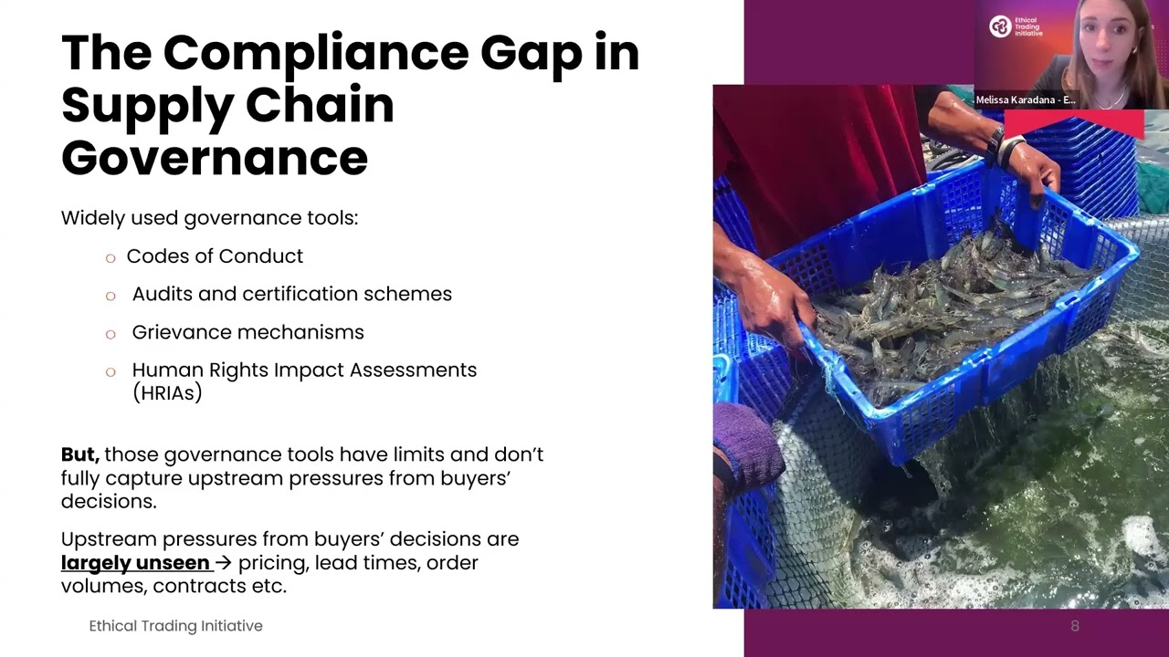 ETI Insights: How purchasing practices shape human rights in shrimp supply chain