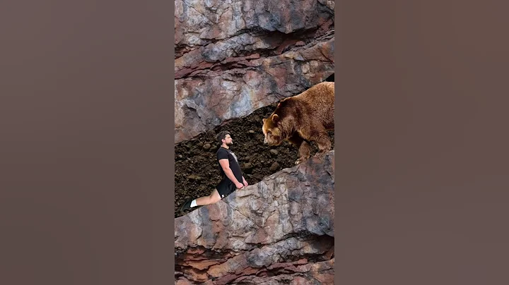Trapped in a cave with a bear - DayDayNews