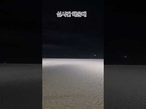 5시42분 <strong>부산</strong> <strong>해운대</strong> 날씨  잔잔한 파도에 가을 바람 물씬 풍김. 나들이 굿! #shorts #해운대가볼만한곳