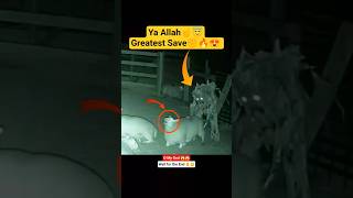 Ya Allah☝️😇 Greatest Save 😱 #shorts #status #short chonknay Shots