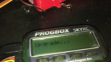 [Toro Beast 1/5 Scale Esc]  Programming with the SkyRc ProgBox