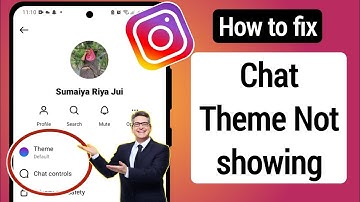 How to fix Instagram Chat Theme Option not Showing.