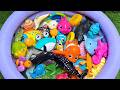 LEARN OCEAN ANIMALS AND FUN FACTS WITH TOYS: SEA ANIMAL PLAYTIME FOR KIDS