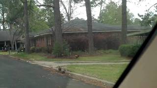 fitzgerald georgia chickens wild