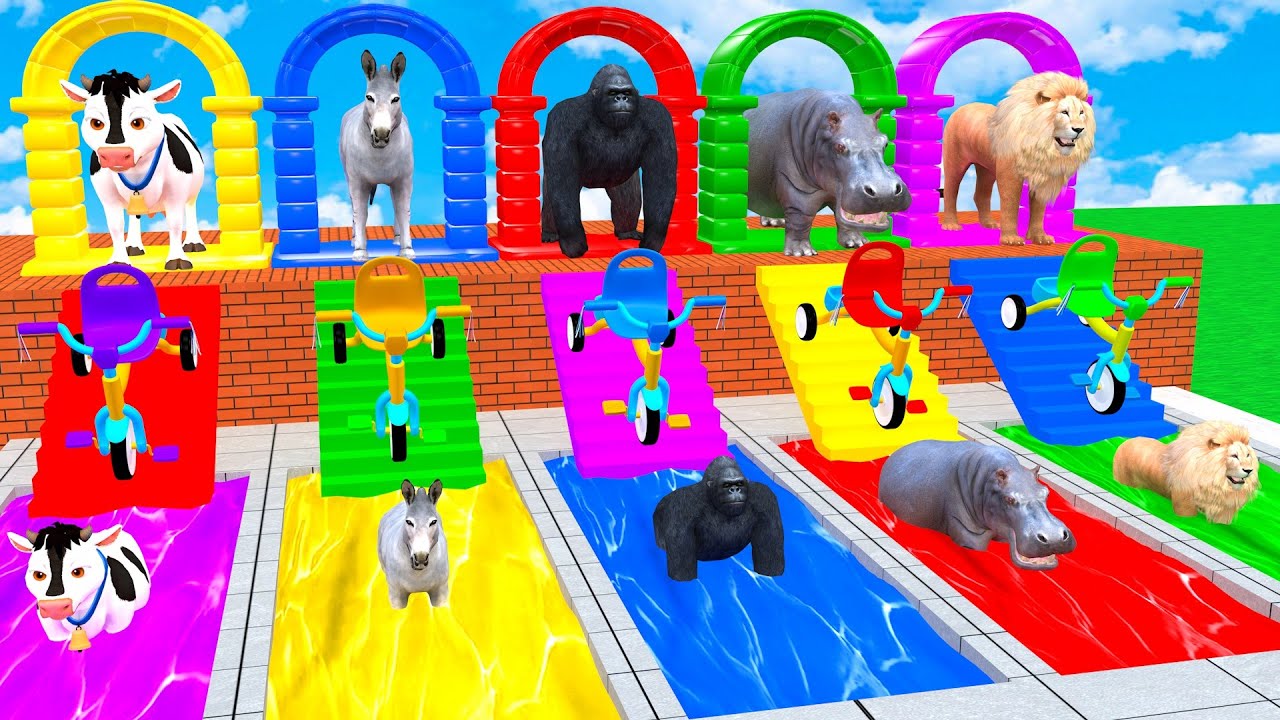 Long Slide Game With Cow Donkey Gorilla Hippopotamus Lion 3d Animal Game Funny 3d Animals