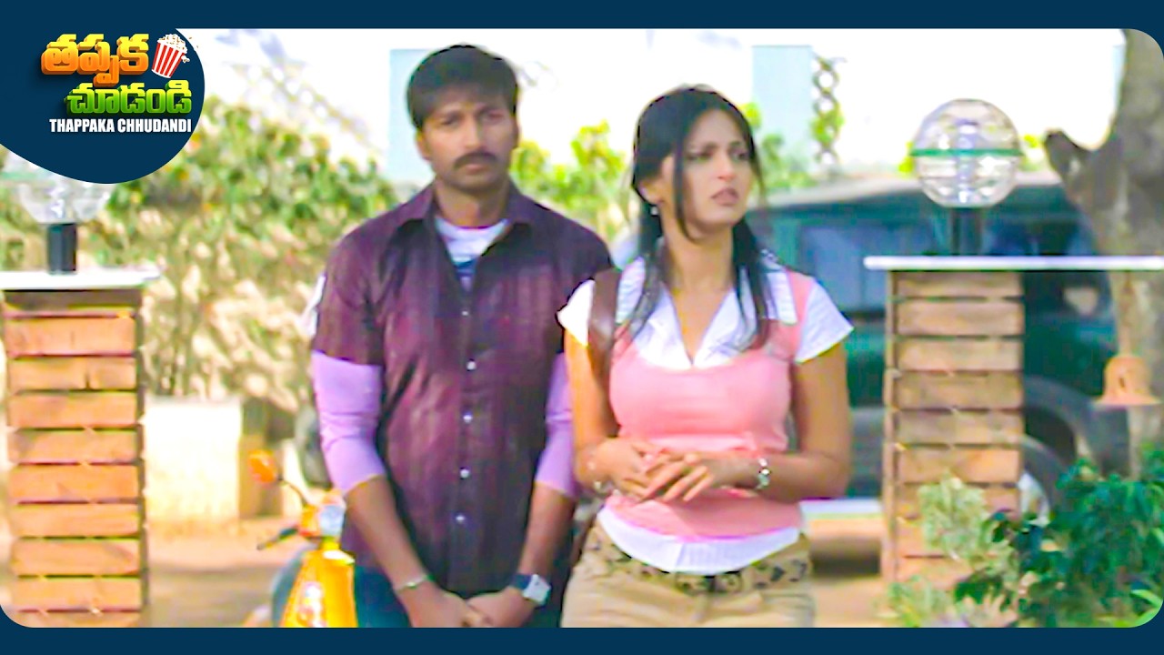 Gopichand And Anushka Shetty Interesting Telugu Movie Scene | @ThappakaChudandi9