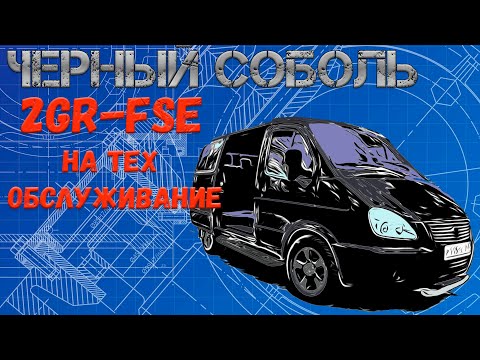 Черный соболь на