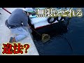 【衝撃】神堤防に来たら魚がタモですくい放題だった！！！！