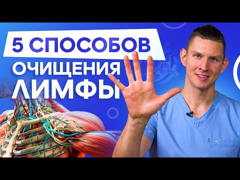 Видео: Пятая гармоничная чистая стоимость