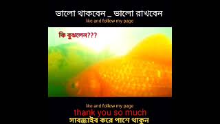 religion islamicvideo islamicmessages reels fact islamicreminders ইসলামিক viral allahmuslim