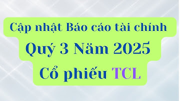 Cập nhật Báo cáo tài chính Quý 3 Năm 2025 của cổ phiếu TCL