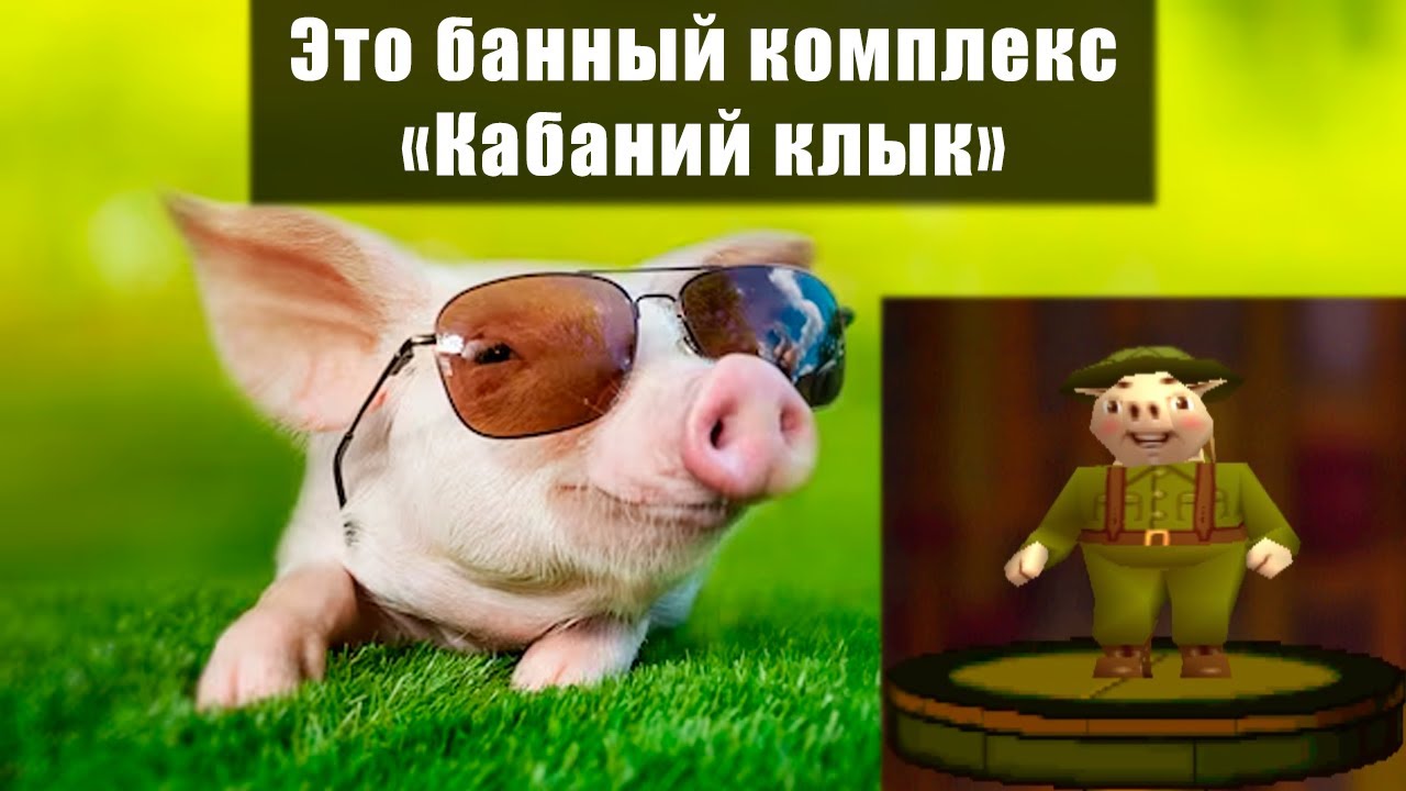 Поросячий чил - YouTube
