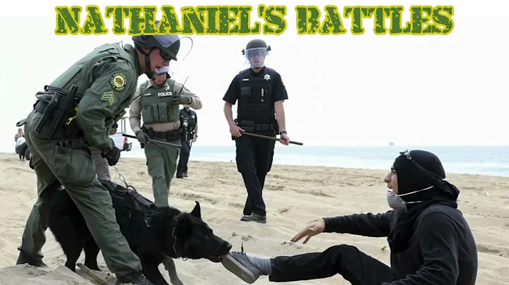K-9 Training Huntington Beach