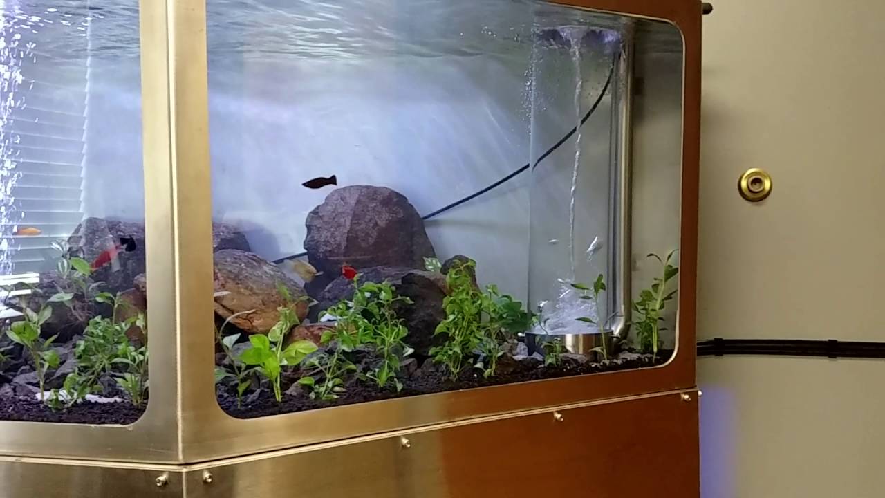 My 200 Gallon Fish Tank With Tornado Whirlpool YouTube My 200 Gallon Fish Tank With Tornado Whirlpool YouTube