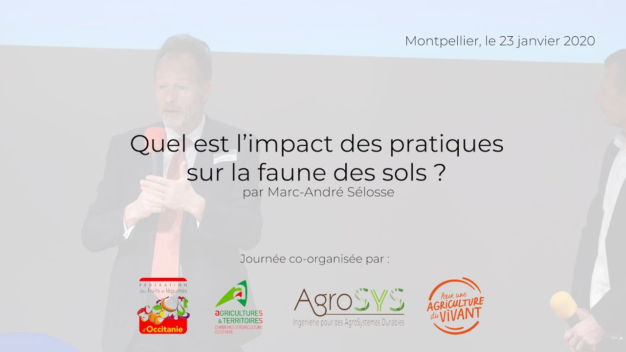 Impact des pratiques sur la faune des sols ? par Marc-André Sélosse ...