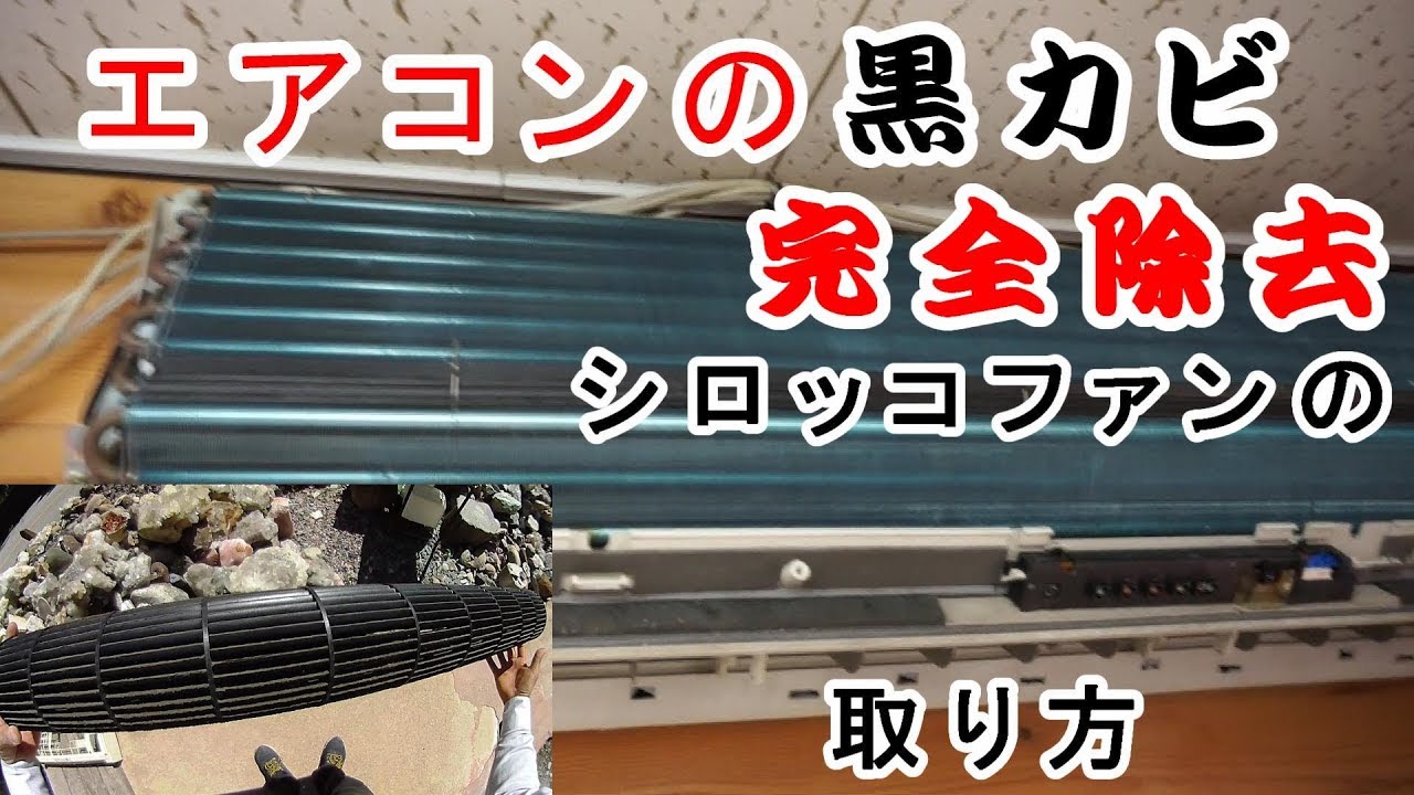 夏場のエアコン危険 徹底的に黒カビ除去 シロッコファンの黒カビ完全除去エアコンのお掃除方法 昇仙峡甲州屋から400 00山梨県甲府市平瀬町481 1 Tel 055 270 0659 Youtube