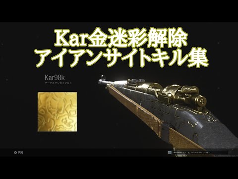 COD 金迷彩解除までのKarアイアンサイトキル集