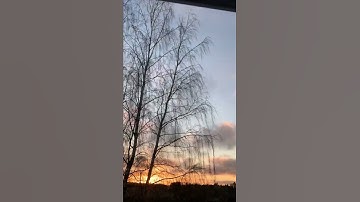 حركة الغيوم وقت الغروب .. مع تلاوة للقارئ إسلام صبحي من سورة الشورى