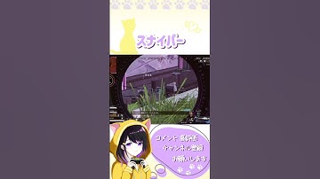 【#apex 】ヴァンテージウルトが気持ちいい！【#shorts 】#エーペックスレジェンズ