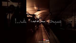 هيدي حال الدني كارول سماحة