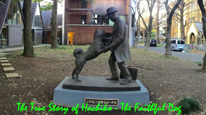 The True Story of Hachiko - The Faithful Dog