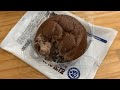 먹방 브이로그 | 교촌 허니콤보 치킨 씨유 연세우유 초코생크림빵 압도적 참치김밥 프렌치토스트 참깨라면 과자 싸다김밥