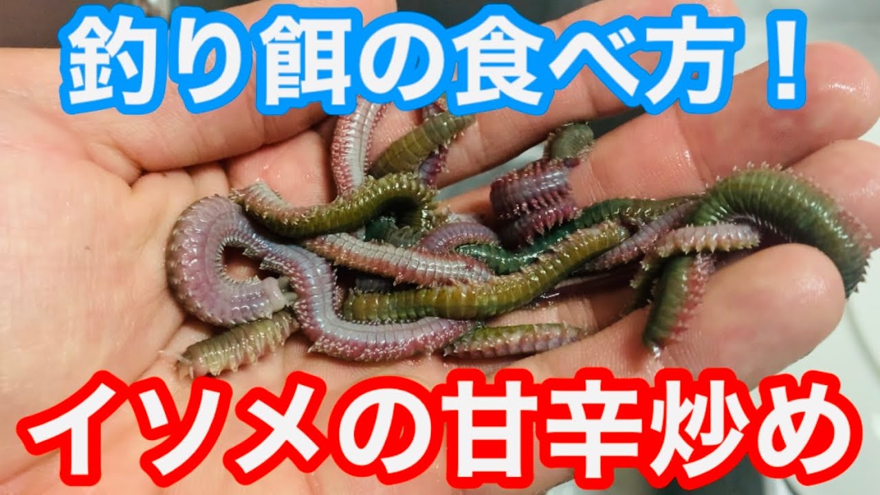 ゴカイの照り焼き 食べてみた I Eat A Bait Youtube