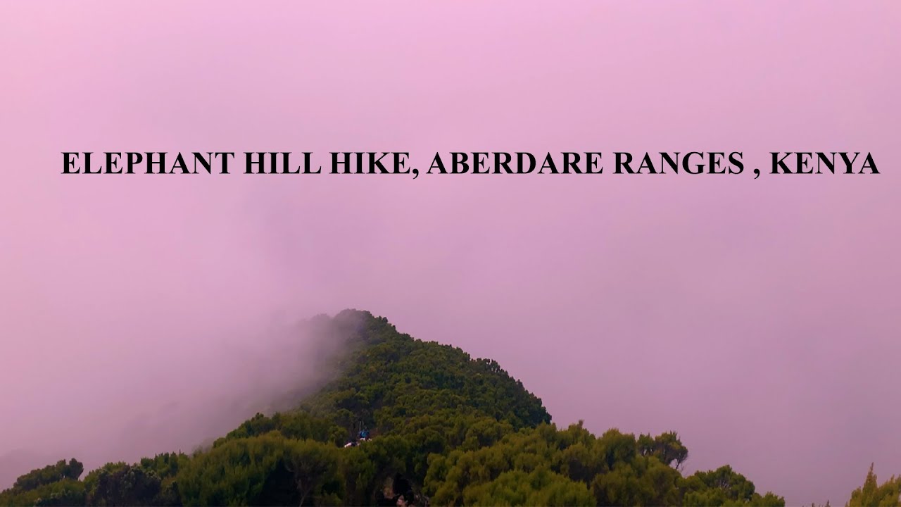 ELEPHANT HILL HIKE, ABERDARE RANGES , KENYA