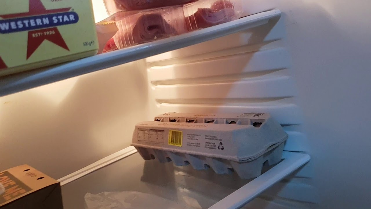 냉장고를 오랫동안 사용안하고 방치하면 발생하는 문제. Why refrigerator must keep turn it on. YouTube