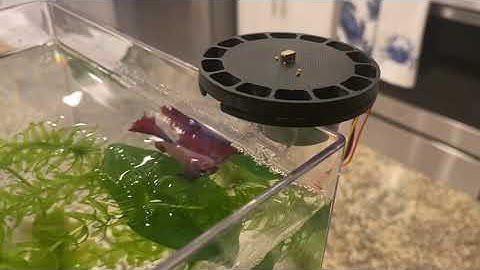 自動魚給餌器を3Dプリントする