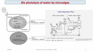 Biomass Conversion and Biorefinary NPTEL course week 10 discussion under PMRF TA duty