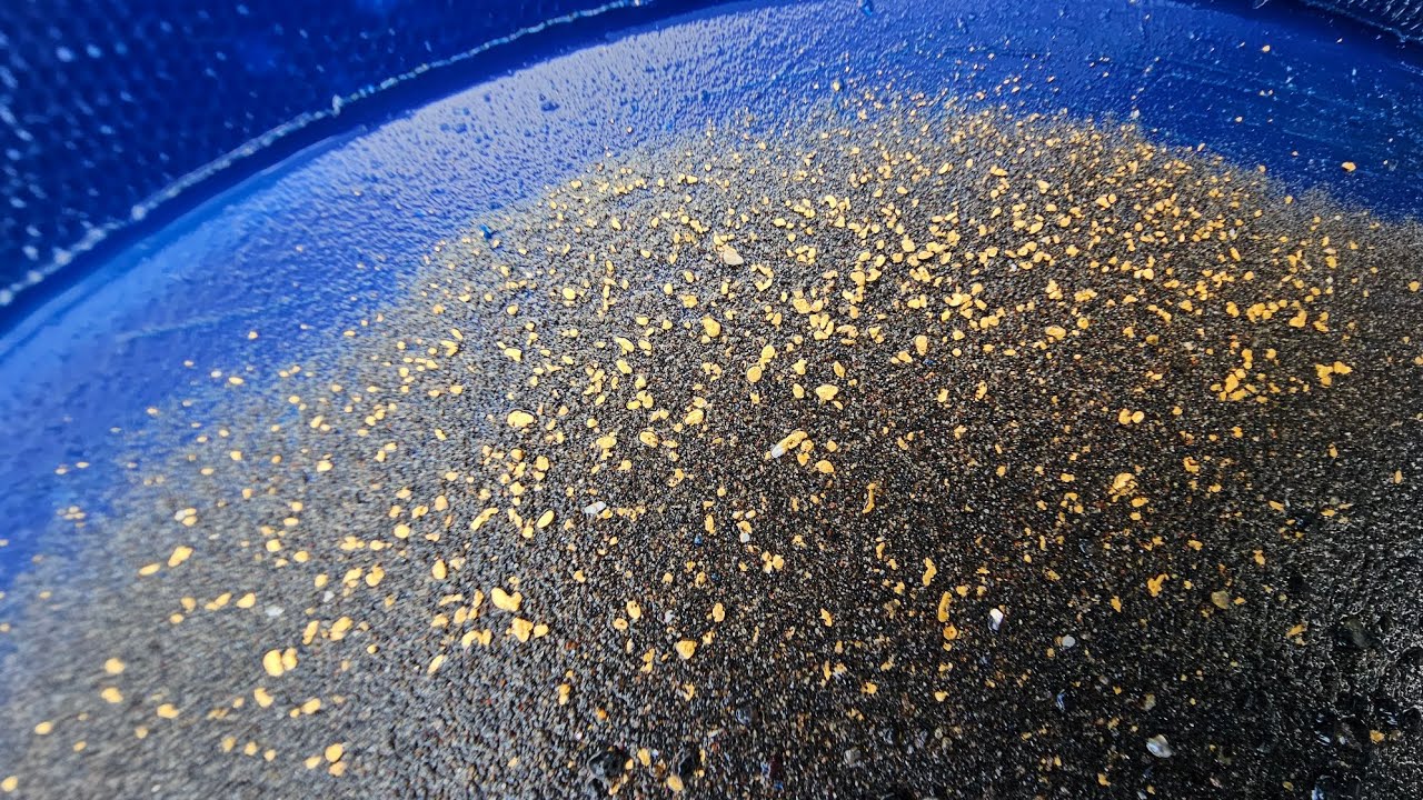 Metal Detecting in Victoria May Be Illegal