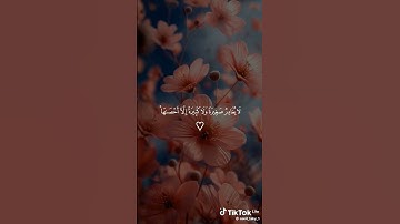سورة الكهف #اكسبلور #لايك #دويتو #حالات_واتس #تيك_توك