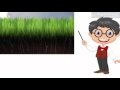 Урок 21 Природознавство 1 клас. Що таке  ґрунт?