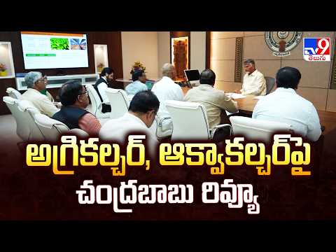 CM Chandrababu Review on Agri and Aqua Sectors : అగ్రికల్చర్, ఆక్వాకల్చర్‌పై చంద్రబాబు రివ్యూ - TV9 - TV9