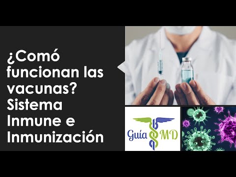 Vídeo: Las Vacunas Contra La Gripe Debilitan El Sistema Inmunológico En Los Próximos Años - Vista Alternativa