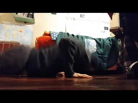 10 აზიდვა |ისევ|