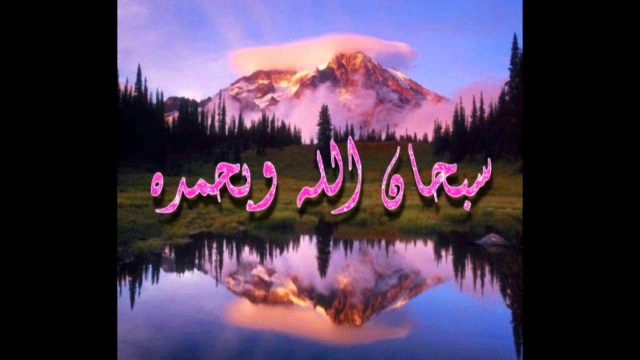 يوسف العقيل ،، الأربعون النووية