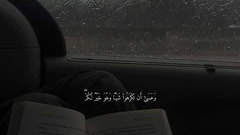 وَاللَّٰـه يَـــعلـم وَأَنــتم لَــا تَــعلــمُون 🖤 آيات قرآنيه - حالات واتس أب / انستا🤍
