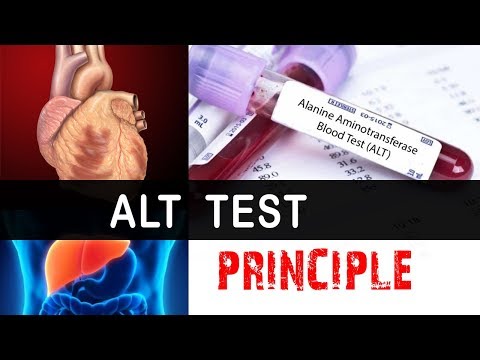 Video: Ujian ALT (Alanine Aminotransferase): Tujuan, Prosedur, Dan Hasil