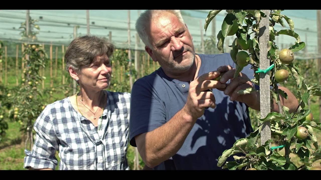 Lernort Bauernhof - So bauen wir Äpfel an  "Antonia Kitt"