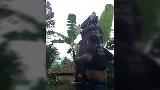 Penatan  sound AR AUDIO crimen