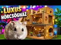 Luxus hörcsög villa! - Hatalmas ház Mikunak🤩😱