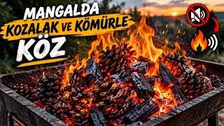 🔥 KOZALAK ve KÖMÜRLE KÖZ YAKTIM | Fire Sounds ASMR 🔥