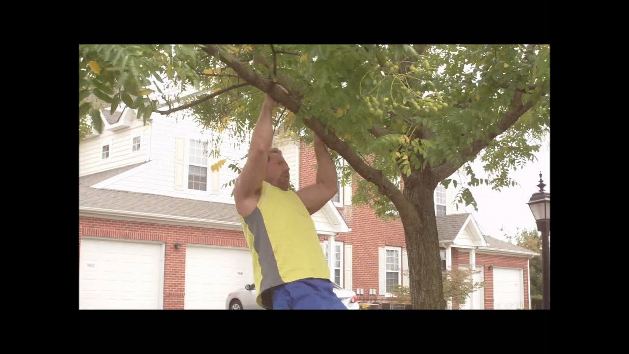 Homeland Muscularity Outdoor Exercises-Creative Workouts