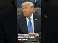 President Trump on Tiger plea deal