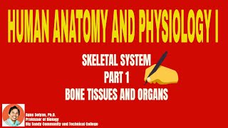 SKELETAL SYSTEM PART 1: BONE TISSUES AND ORGANS screenshot 2