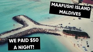 One night in Maafushi local island Maldives