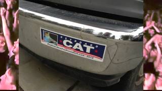 not man screenshot 2